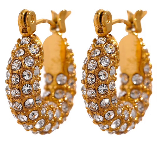 Vanessa hoops